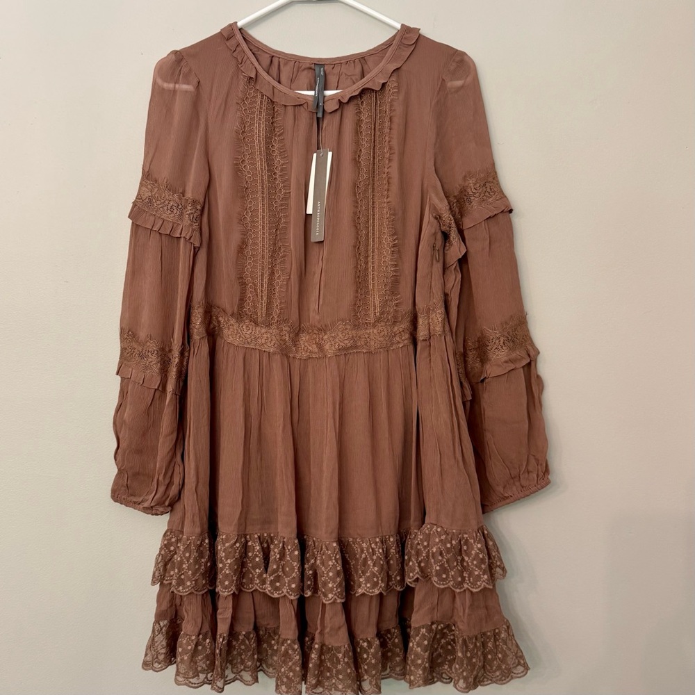 Anthropologie Lace Pleated Brown Dress